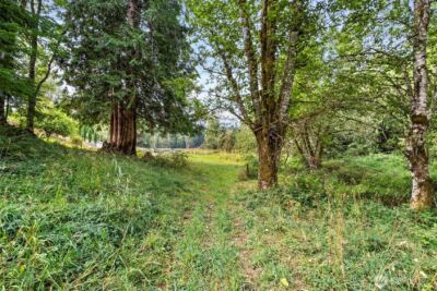 886 21 Salmon Creek Road #21, Mossyrock, WA 98564 - Photo 37