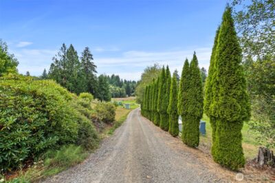 886 21 Salmon Creek Road #21, Mossyrock, WA 98564 - Photo 5