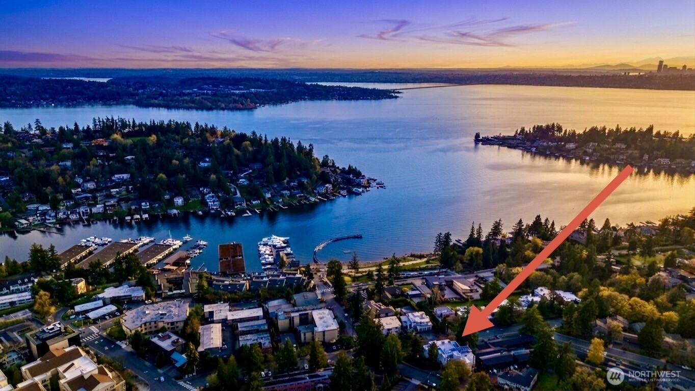 101 99th Avenue NE #101, Bellevue, WA 98004