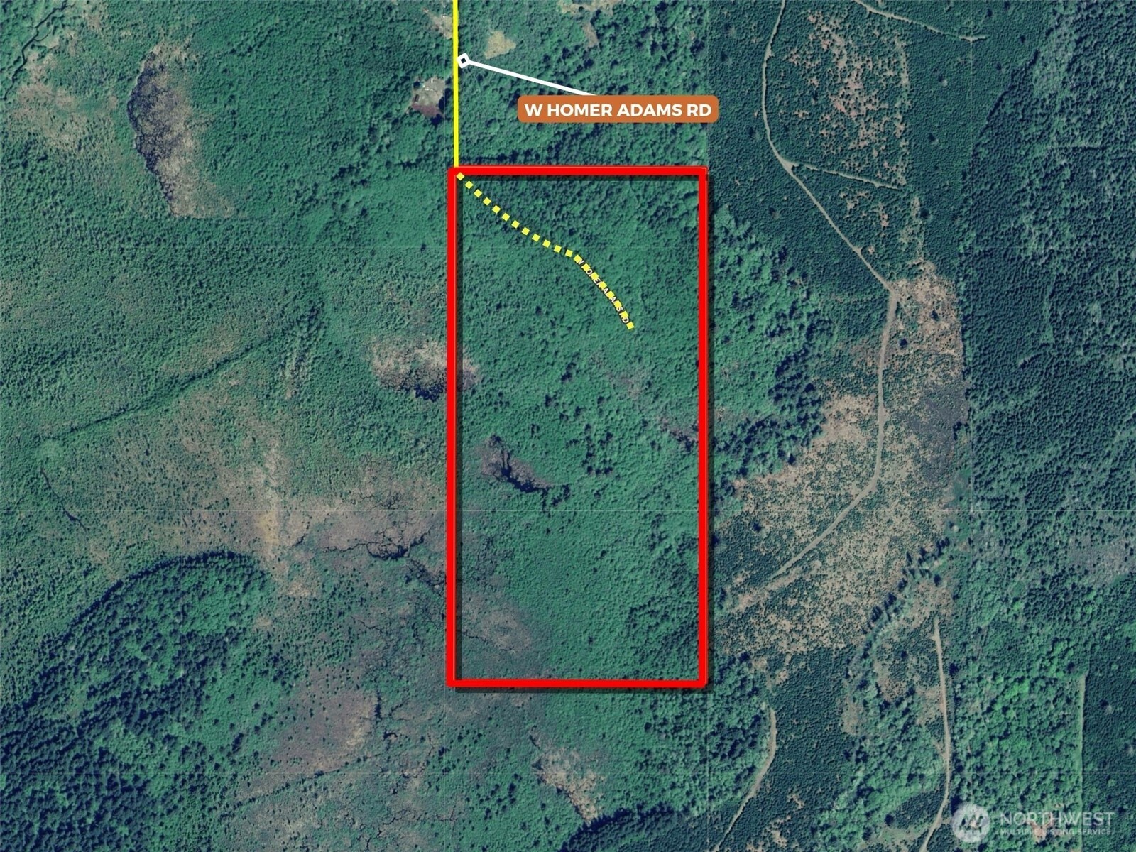 981 W Homer Adams Road , Elma, WA 98541