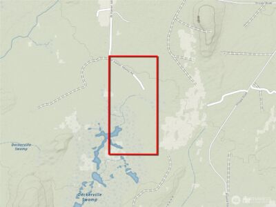 981 W Homer Adams Road , Elma, WA 98541 - Photo 11