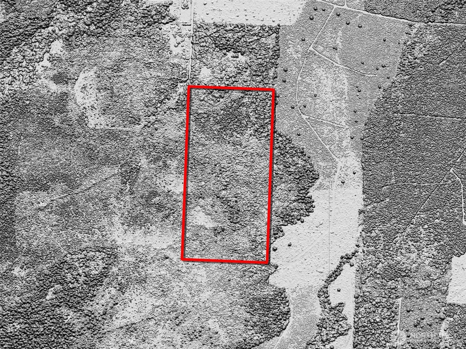 981 W Homer Adams Road , Elma, WA 98541