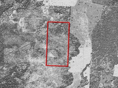 981 W Homer Adams Road , Elma, WA 98541 - Photo 13