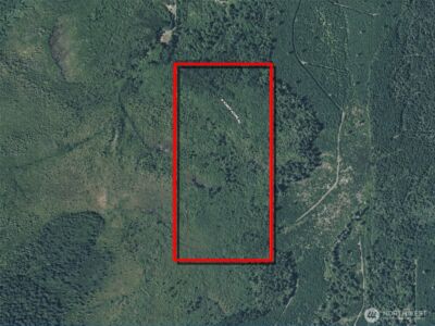 981 W Homer Adams Road , Elma, WA 98541 - Photo 14