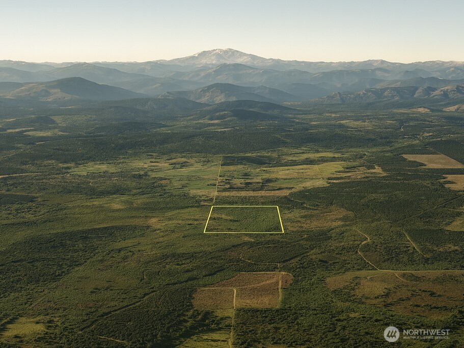 981 W Homer Adams Road , Elma, WA 98541