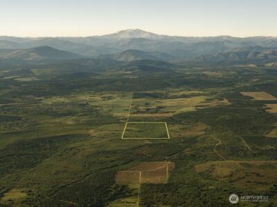 981 W Homer Adams Road , Elma, WA 98541 - Photo 3