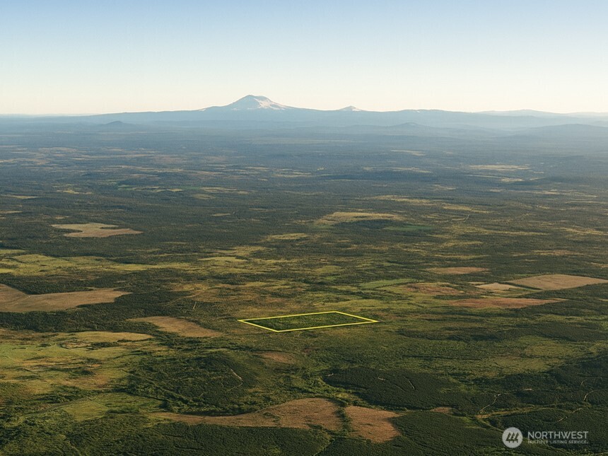 981 W Homer Adams Road , Elma, WA 98541