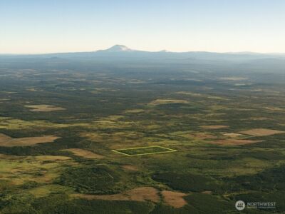 981 W Homer Adams Road , Elma, WA 98541 - Photo 4