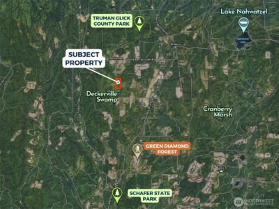 981 W Homer Adams Road , Elma, WA 98541 - Photo 6