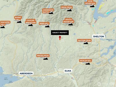 981 W Homer Adams Road , Elma, WA 98541 - Photo 9