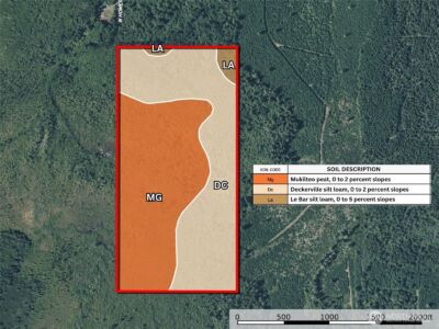 981 W Homer Adams Road , Elma, WA 98541 - Photo 10