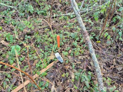 38766 Tinker Place NE, Hansville, WA 98340 - Photo 4