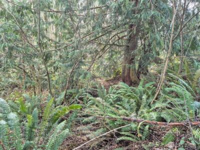 38766 Tinker Place NE, Hansville, WA 98340 - Photo 6