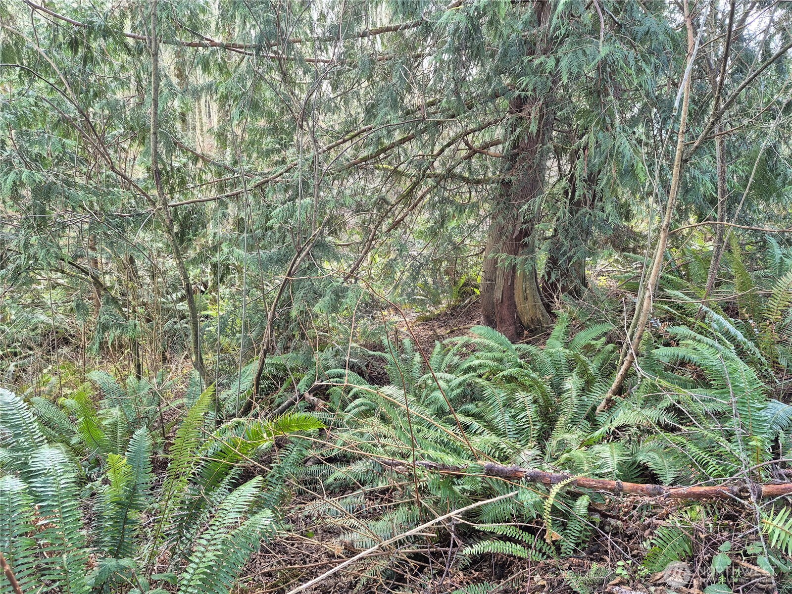 38766 Tinker Place NE, Hansville, WA 98340