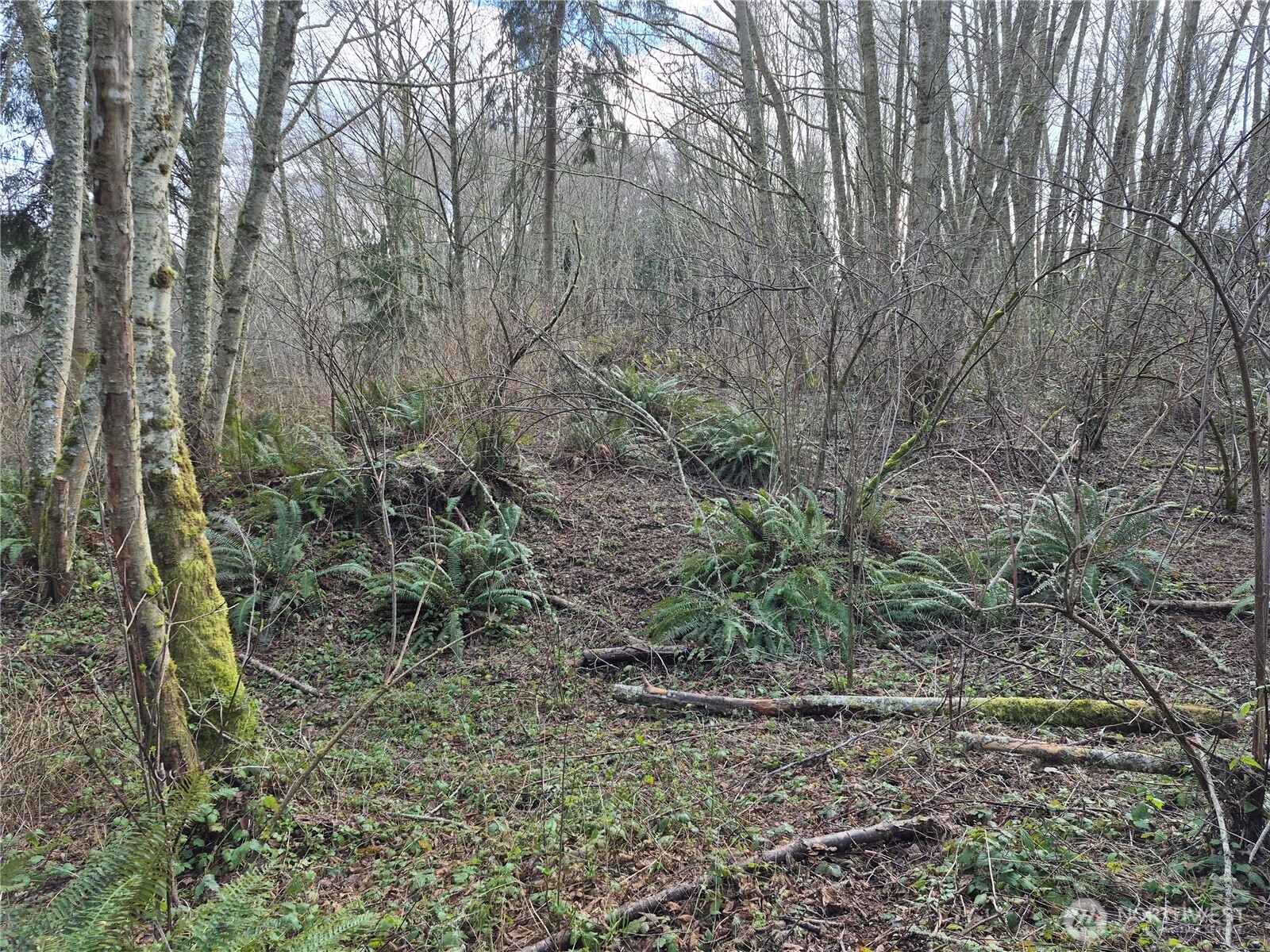 38766 Tinker Place NE, Hansville, WA 98340