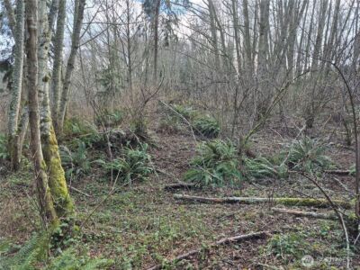 38766 Tinker Place NE, Hansville, WA 98340 - Photo 8