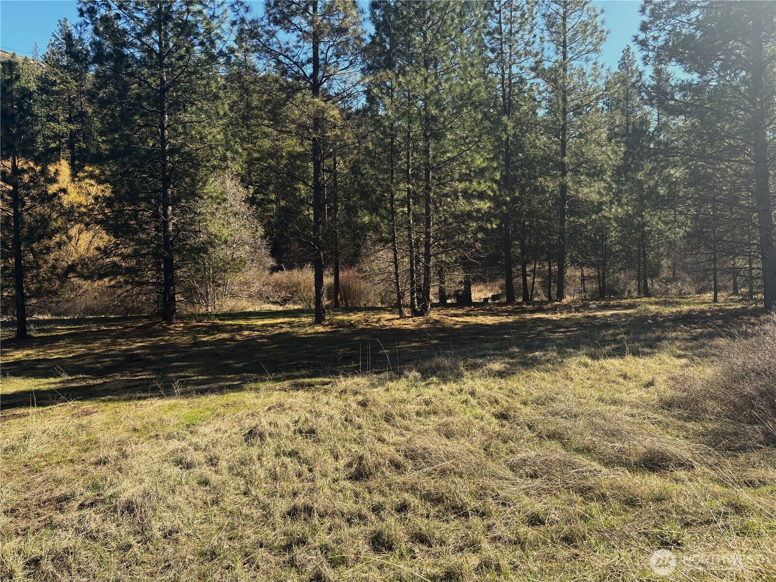 32900 Hawk Creek Ranch Rd N, Davenport, WA 99122