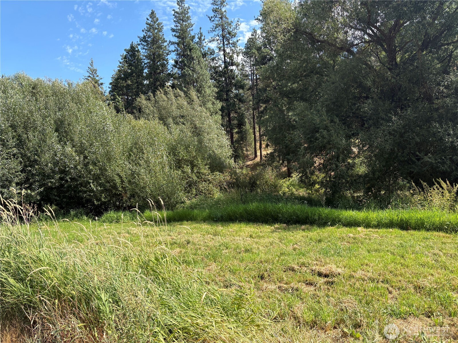 32900 Hawk Creek Ranch Rd N, Davenport, WA 99122