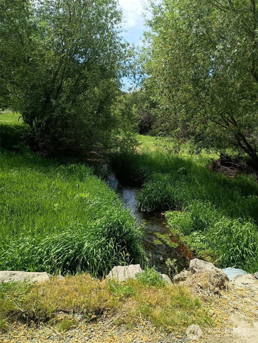 32900 Hawk Creek Ranch Rd N, Davenport, WA 99122