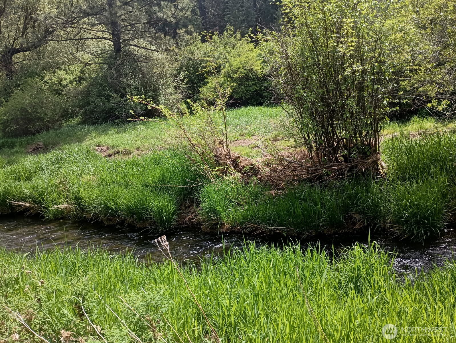 32900 Hawk Creek Ranch Rd N, Davenport, WA 99122