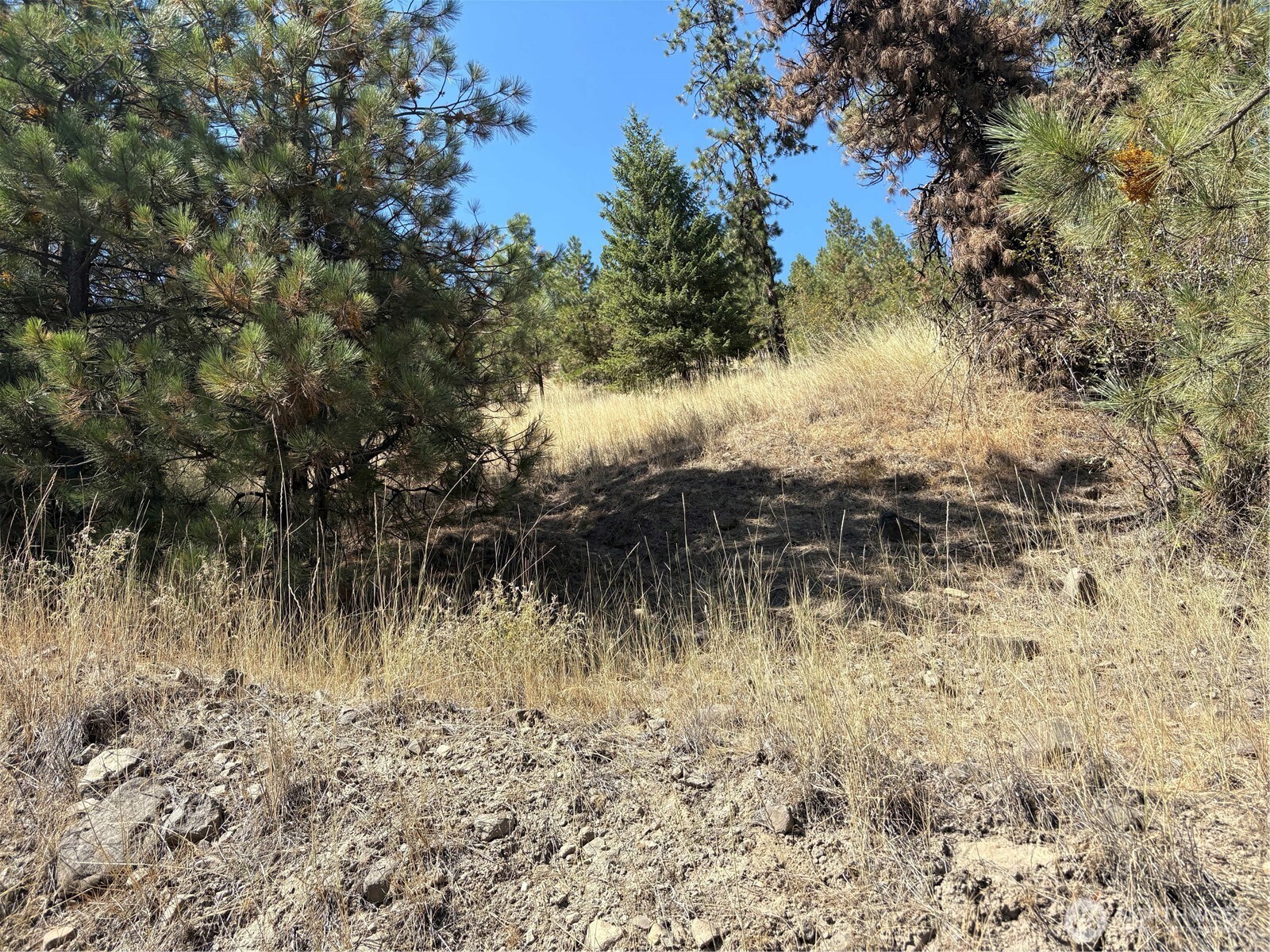 32900 Hawk Creek Ranch Rd N, Davenport, WA 99122