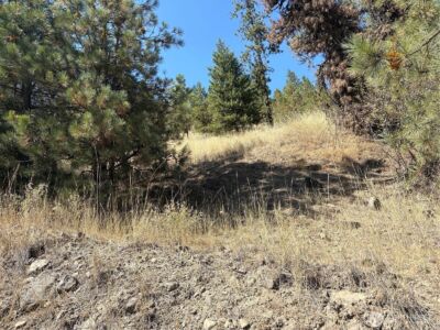 32900 Hawk Creek Ranch Rd N, Davenport, WA 99122 - Photo 19