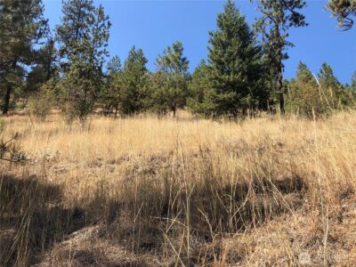 32900 Hawk Creek Ranch Rd N, Davenport, WA 99122 - Photo 20