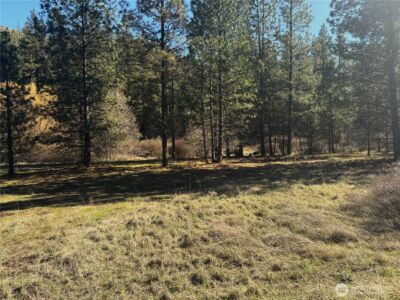 32900 Hawk Creek Ranch Rd N, Davenport, WA 99122 - Photo 2