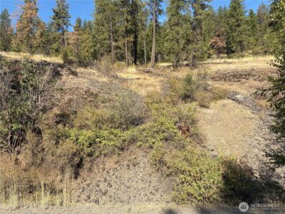 32900 Hawk Creek Ranch Rd N, Davenport, WA 99122 - Photo 22