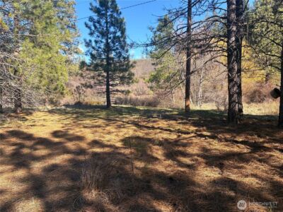 32900 Hawk Creek Ranch Rd N, Davenport, WA 99122 - Photo 3