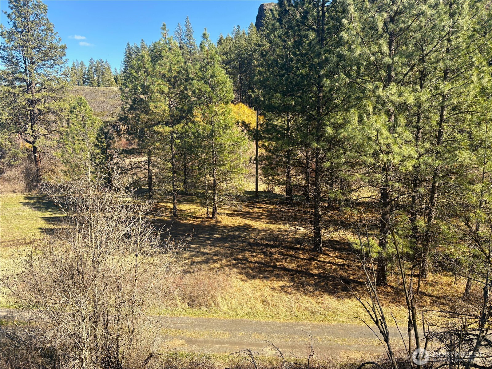 32900 Hawk Creek Ranch Rd N, Davenport, WA 99122