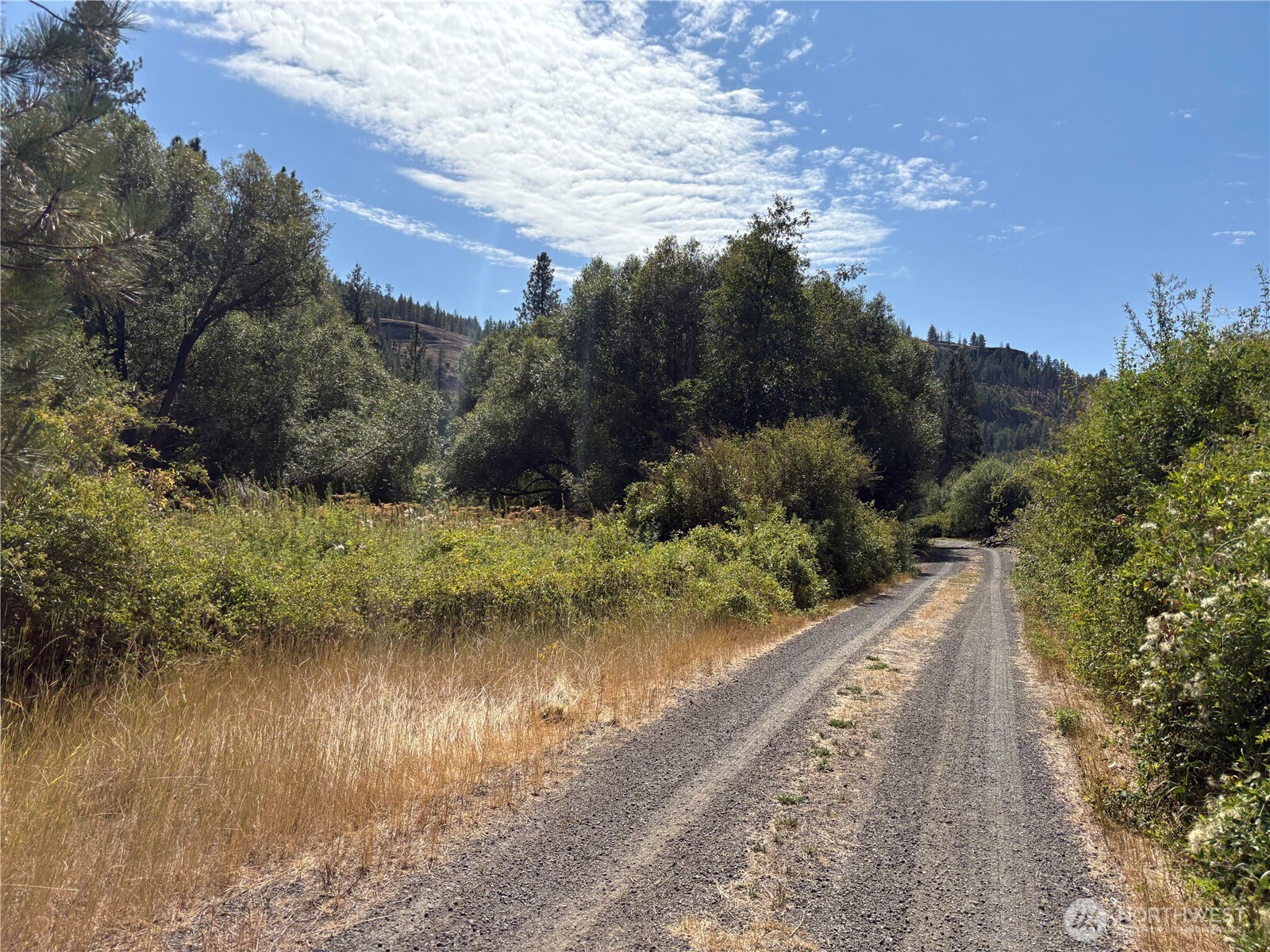 32900 Hawk Creek Ranch Rd N, Davenport, WA 99122