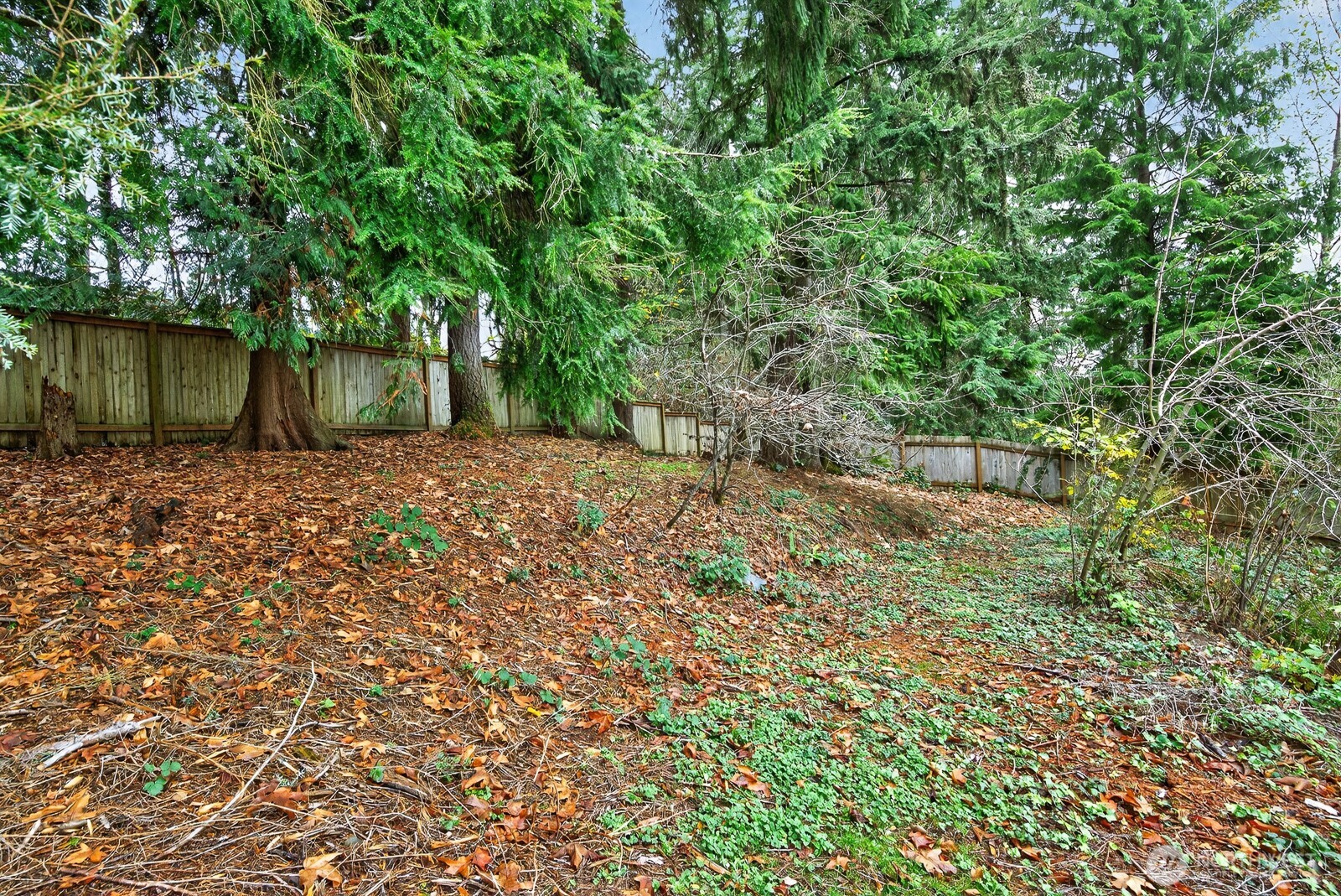 14116 60th Avenue SE, Everett, WA 98208
