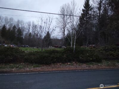 140 Kiona Road , Randle, WA 98377-9623 - Photo 2