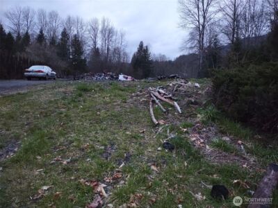 140 Kiona Road , Randle, WA 98377-9623 - Photo 3