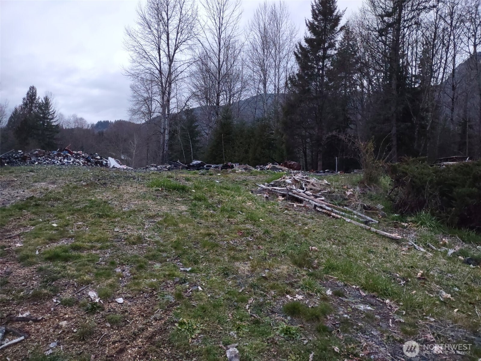 140 Kiona Road , Randle, WA 98377-9623