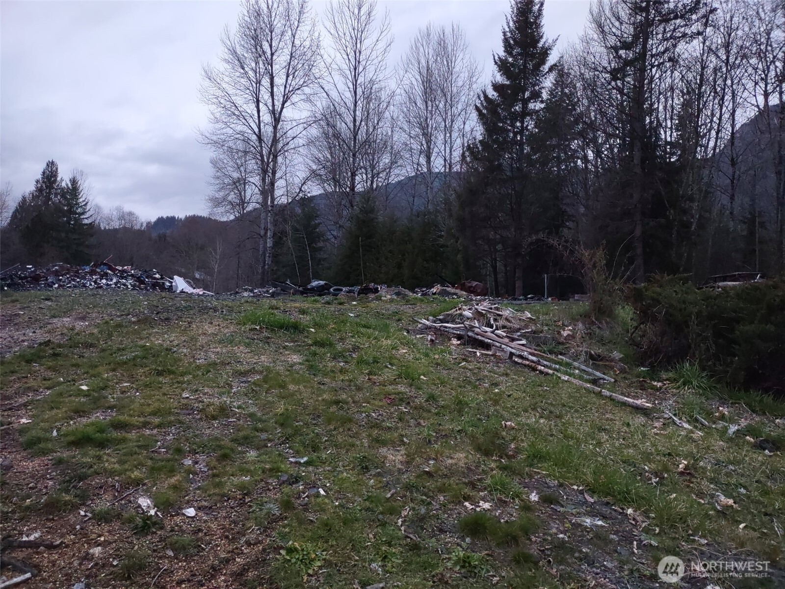 140 Kiona Road , Randle, WA 98377-9623