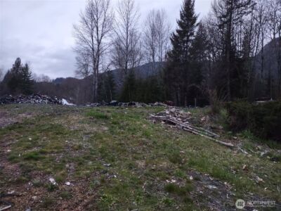 140 Kiona Road , Randle, WA 98377-9623 - Photo 10