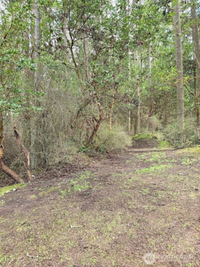 1012 N Scenic Heights Road , Oak Harbor, WA 98277 - Photo 14