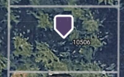 10506 Tahoma Dr Drive , Anderson Island, WA 98303 - Photo 3