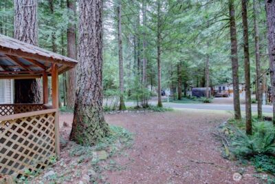 215 Big River Boulevard E, Deming, WA 98244 - Photo 20