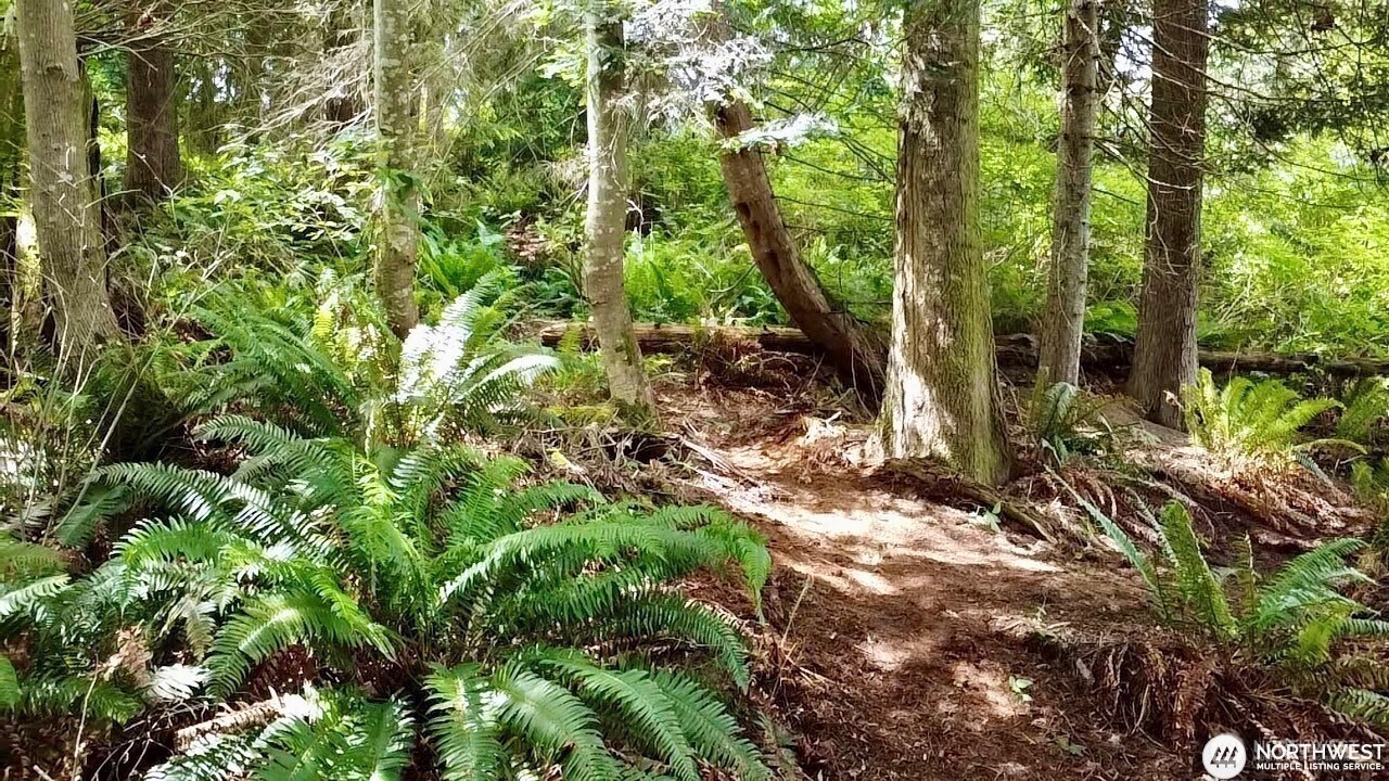 0 XXX E Tala Shore Drive , Port Ludlow, WA 98584