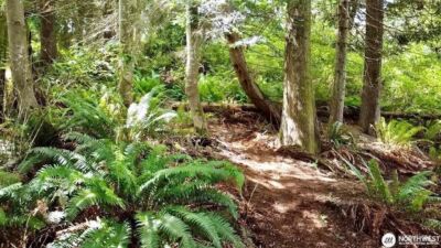 0 XXX E Tala Shore Drive , Port Ludlow, WA 98584 - Photo 11