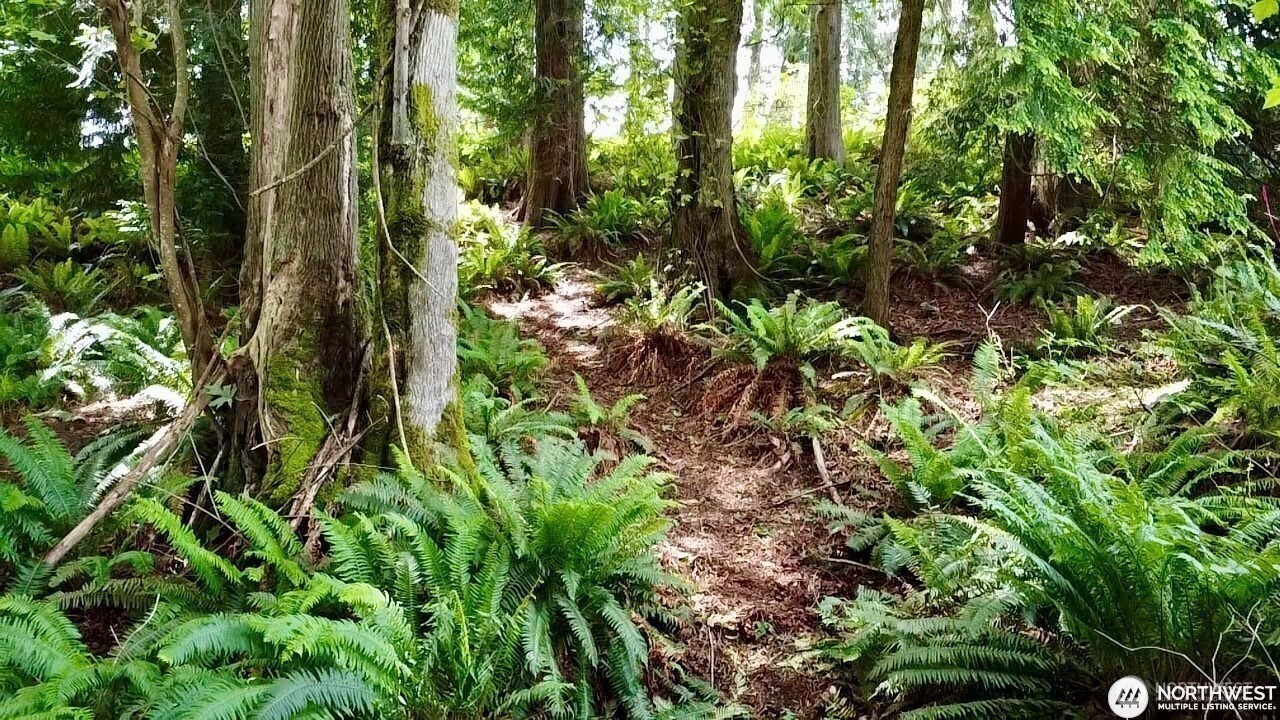 0 XXX E Tala Shore Drive , Port Ludlow, WA 98584