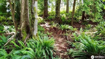 0 XXX E Tala Shore Drive , Port Ludlow, WA 98584 - Photo 12