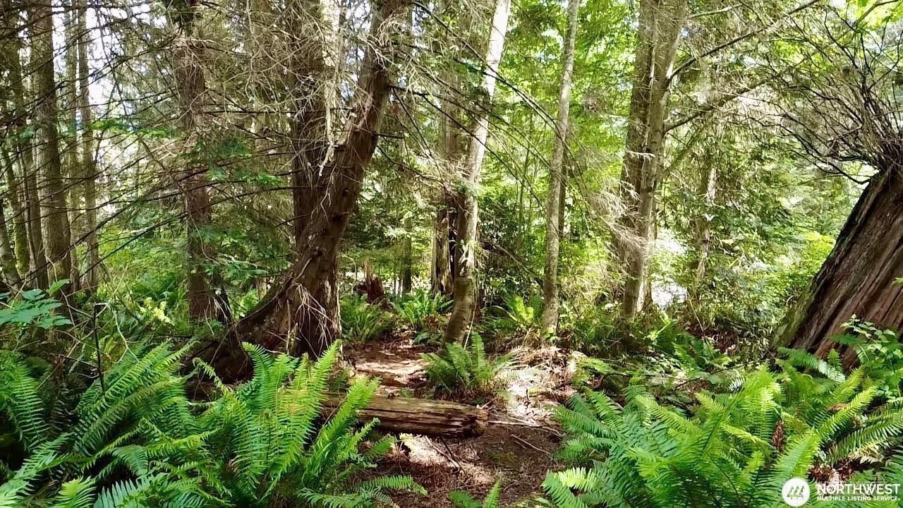 0 XXX E Tala Shore Drive , Port Ludlow, WA 98584