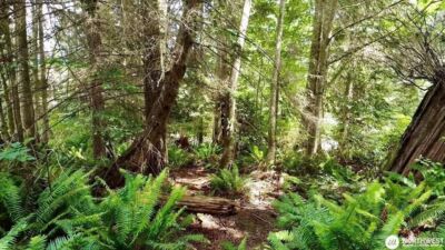 0 XXX E Tala Shore Drive , Port Ludlow, WA 98584 - Photo 13