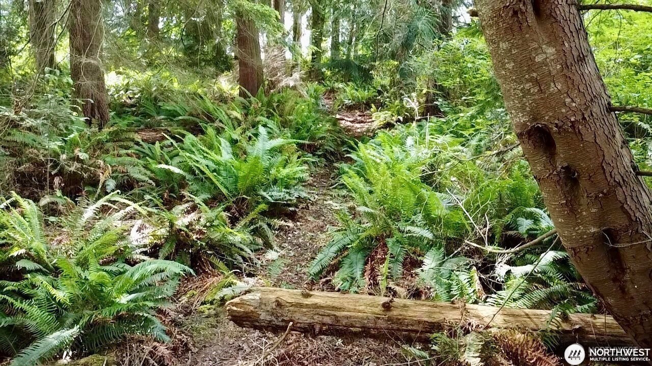 0 XXX E Tala Shore Drive , Port Ludlow, WA 98584