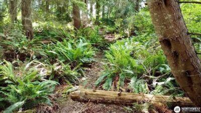 0 XXX E Tala Shore Drive , Port Ludlow, WA 98584 - Photo 10