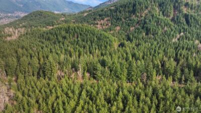 0 Cumberland Kanaskat Road SE, Ravensdale, WA 98051 - Photo 9